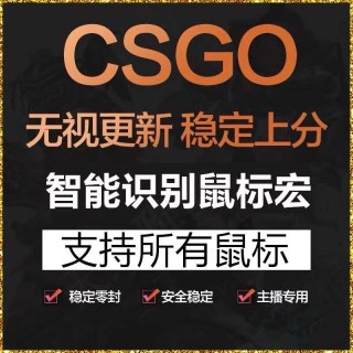 CSGO2【WE】辅助