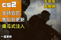 CSGO【菠萝啤】辅助
