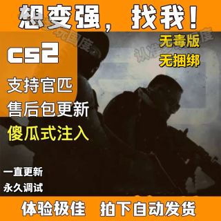 CSGO【菠萝啤】辅助