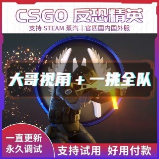 CSGO2【RAM】辅助